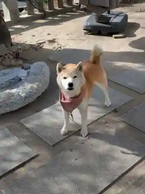 備後護國神社(広島県)
