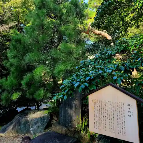 浜松八幡宮(静岡県)
