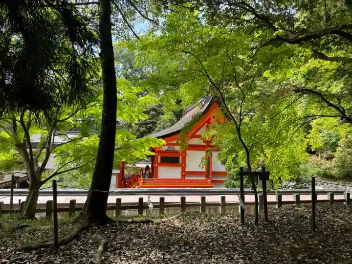 出雲大神宮の{uncategorized: "未分類", other: "その他", undefined: "問題あり", building: "その他建物", grave: "お墓", sacred_gate: "鳥居", guardian: "狛犬", statue: "像", buddha: "仏像", history: "歴史", nature: "自然", garden: "庭園", animal: "動物", pagoda: "塔", temizu: "手水舎", mountain_gate: "山門・神門", sanctuary: "本殿・本堂", subordinate: "末社・摂社", art: "芸術", scenery: "景色", jizo: "地蔵", ema: "絵馬", goshuin: "御朱印", omikuji: "おみくじ", items: "授与品その他", amulet: "お守り", goshuincho: "御朱印帳", eats: "食事", festival: "お祭り", votive_dance: "神楽", shichigosan: "七五三参", wedding: "結婚式", experience: "体験その他", initially: "初詣", around: "周辺", anti_infection: "感染症対策"}