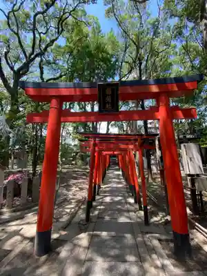 射楯兵主神社(兵庫県)