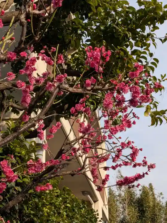 麻布氷川神社(東京都)