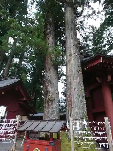 日光二荒山神社の自然