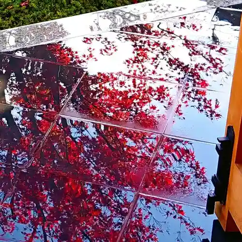 寿量山　速成寺の自然