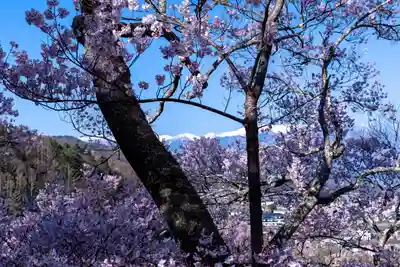 新城藤原神社(長野県)