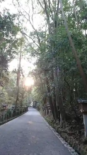 大神神社の自然