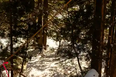 戸隠神社中社(長野県)