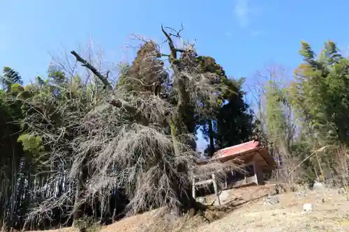 関場神社の景色