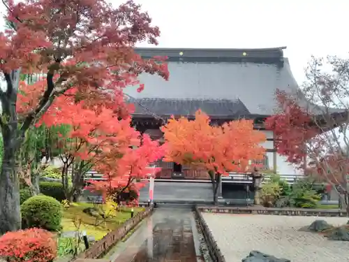 青苔寺の本殿