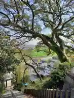 千栗八幡宮の自然