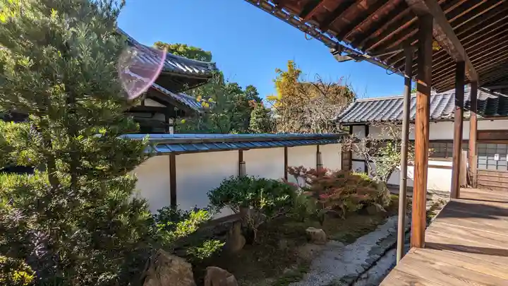 隨心院(随心院)の庭園