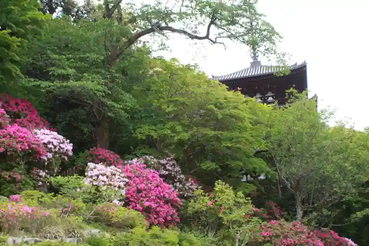 當麻寺 護念院(奈良県)