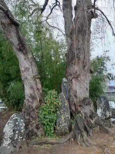 毘沙門堂(岩手県)