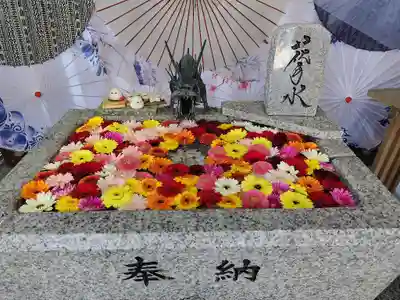 札幌諏訪神社の手水舎
