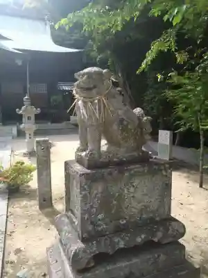 長尾八幡宮の{uncategorized: "未分類", other: "その他", undefined: "問題あり", building: "その他建物", grave: "お墓", sacred_gate: "鳥居", guardian: "狛犬", statue: "像", buddha: "仏像", history: "歴史", nature: "自然", garden: "庭園", animal: "動物", pagoda: "塔", temizu: "手水舎", mountain_gate: "山門・神門", sanctuary: "本殿・本堂", subordinate: "末社・摂社", art: "芸術", scenery: "景色", jizo: "地蔵", ema: "絵馬", goshuin: "御朱印", omikuji: "おみくじ", items: "授与品その他", amulet: "お守り", goshuincho: "御朱印帳", eats: "食事", festival: "お祭り", votive_dance: "神楽", shichigosan: "七五三参", wedding: "結婚式", experience: "体験その他", initially: "初詣", around: "周辺", anti_infection: "感染症対策"}
