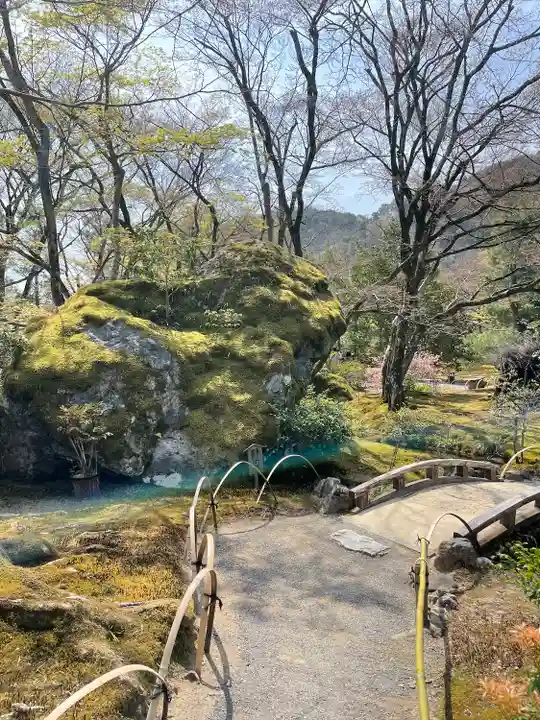 宝厳院(京都府)