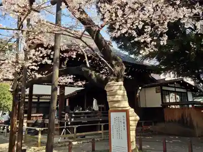 靖國神社(東京都)