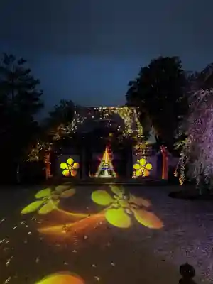 高台寺（高台寿聖禅寺・高臺寺）の{uncategorized: "未分類", other: "その他", undefined: "問題あり", building: "その他建物", grave: "お墓", sacred_gate: "鳥居", guardian: "狛犬", statue: "像", buddha: "仏像", history: "歴史", nature: "自然", garden: "庭園", animal: "動物", pagoda: "塔", temizu: "手水舎", mountain_gate: "山門・神門", sanctuary: "本殿・本堂", subordinate: "末社・摂社", art: "芸術", scenery: "景色", jizo: "地蔵", ema: "絵馬", goshuin: "御朱印", omikuji: "おみくじ", items: "授与品その他", amulet: "お守り", goshuincho: "御朱印帳", eats: "食事", festival: "お祭り", votive_dance: "神楽", shichigosan: "七五三参", wedding: "結婚式", experience: "体験その他", initially: "初詣", around: "周辺", anti_infection: "感染症対策"}