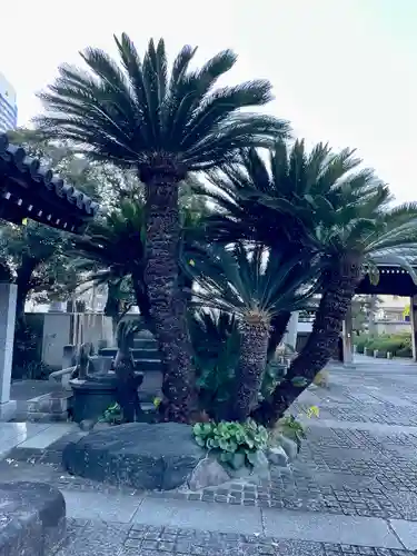 浄蓮寺(神奈川県)