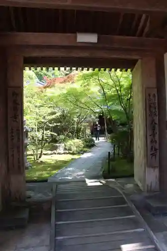 大日寺の山門