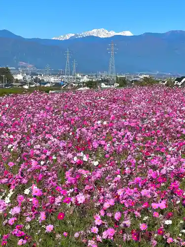 矢彦神社(長野県)