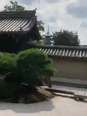 東寺（教王護国寺）(京都府)