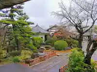 観音寺の庭園