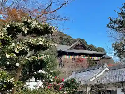 長谷寺(奈良県)