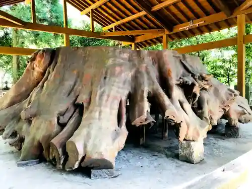 国造神社の自然