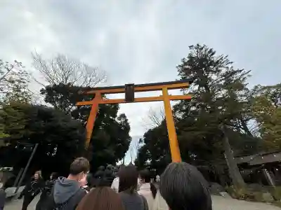 川越氷川神社(埼玉県)