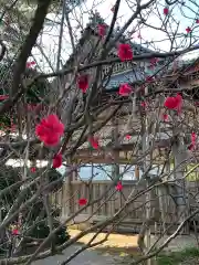 常宮神社の自然