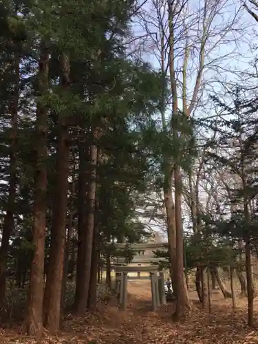 権現山内浦神社の鳥居