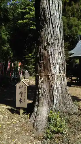 瀧神社のその他建物