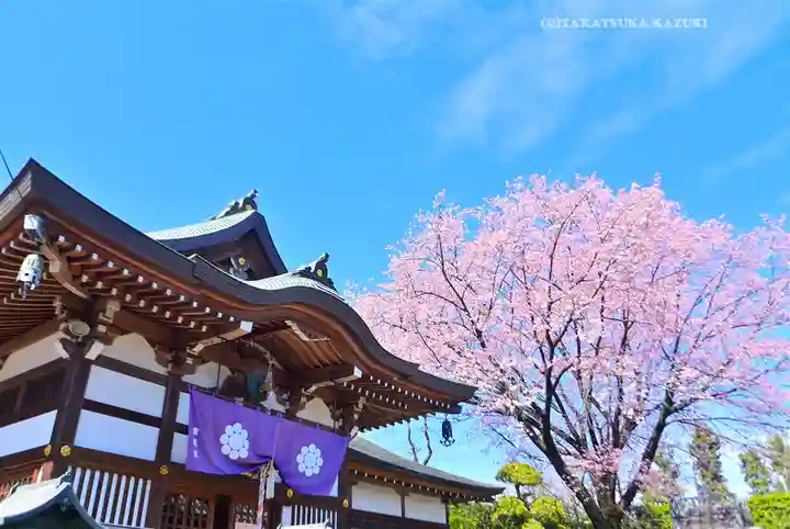 密藏院(埼玉県)