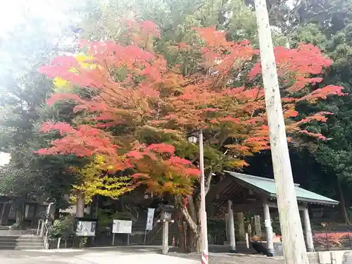 金刀比羅神社の自然