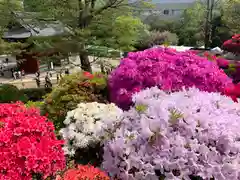 根津神社の庭園