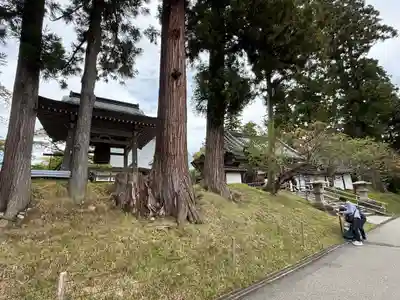 中尊寺金色堂(岩手県)