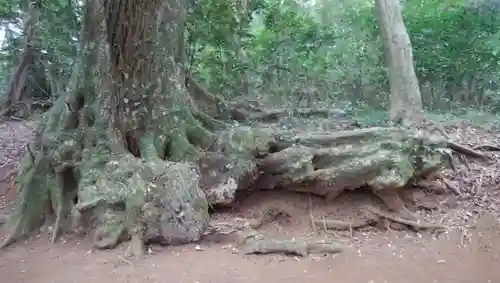 近津神社の自然