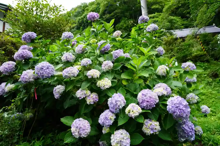 木幡山隠津島神社(二本松市)の自然