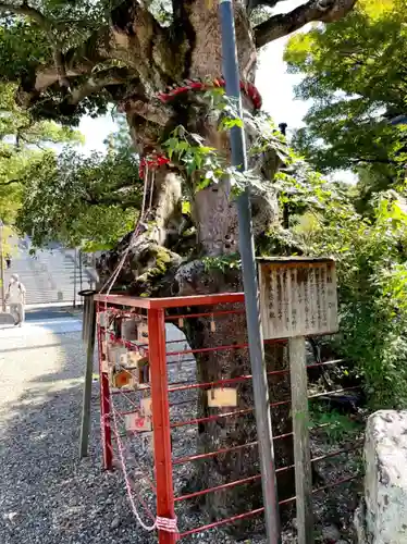 八事山 興正寺の自然