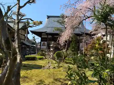 安養寺の本殿・本堂