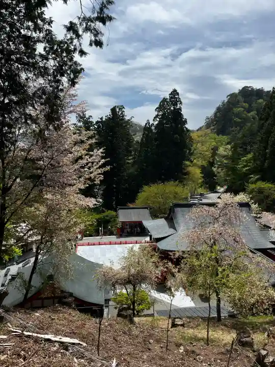 金櫻神社の{uncategorized: "未分類", other: "その他", undefined: "問題あり", building: "その他建物", grave: "お墓", sacred_gate: "鳥居", guardian: "狛犬", statue: "像", buddha: "仏像", history: "歴史", nature: "自然", garden: "庭園", animal: "動物", pagoda: "塔", temizu: "手水舎", mountain_gate: "山門・神門", sanctuary: "本殿・本堂", subordinate: "末社・摂社", art: "芸術", scenery: "景色", jizo: "地蔵", ema: "絵馬", goshuin: "御朱印", omikuji: "おみくじ", items: "授与品その他", amulet: "お守り", goshuincho: "御朱印帳", eats: "食事", festival: "お祭り", votive_dance: "神楽", shichigosan: "七五三参", wedding: "結婚式", experience: "体験その他", initially: "初詣", around: "周辺", anti_infection: "感染症対策"}