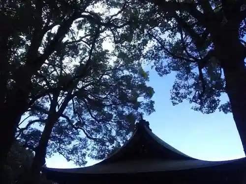 武蔵一宮氷川神社のその他建物