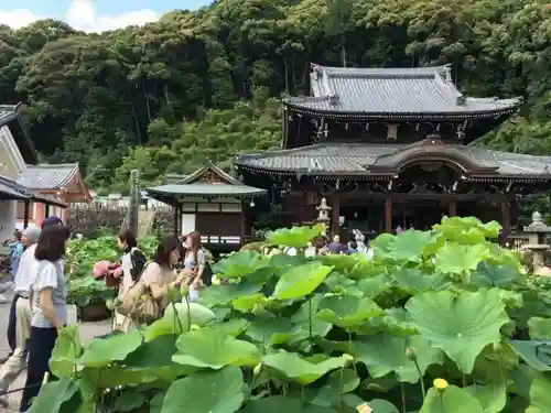 三室戸寺の建物その他