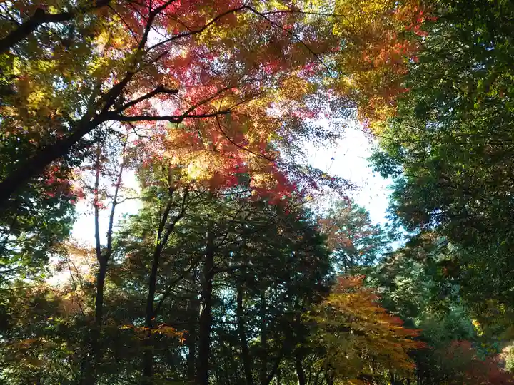 太皷谷稲成神社(島根県)