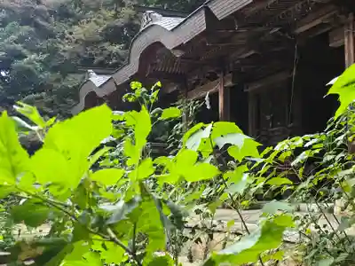 穴師坐兵主神社(奈良県)