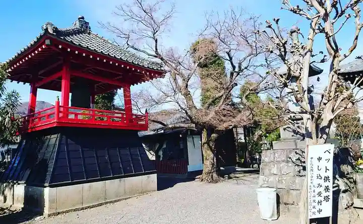 大蔵院のその他建物