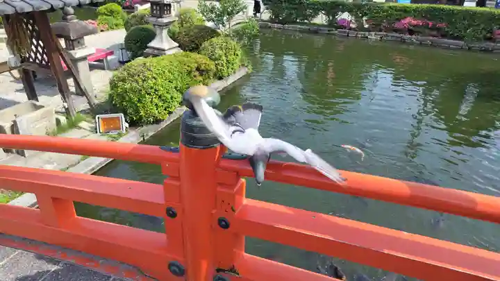 神泉苑(京都府)