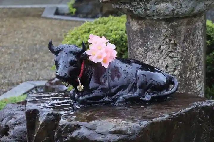 大松禅寺(京都府)
