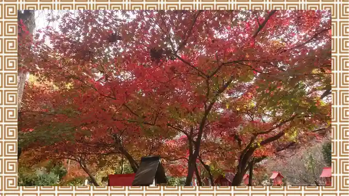冠稲荷神社(群馬県)