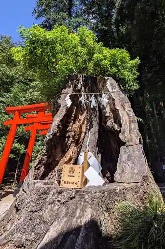 常磐神社(茨城県)